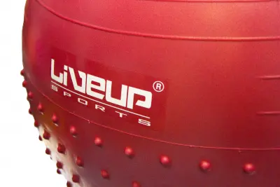 картинка Мяч LiveUp для фитнеса массажный+насос LS3569 